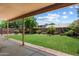 Lush backyard featuring a large grassy area, mature trees, and a covered patio perfect for outdoor entertaining at 4223 E Danbury Rd, Phoenix, AZ 85032