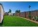 Lush backyard with green lawn, a brick-lined path, cacti, a tall palm tree, and a storage shed at 4526 W Mission Ln, Glendale, AZ 85302