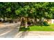 Charming home exterior with lush landscaping and a spacious driveway at 5139 S Marble St, Gilbert, AZ 85298