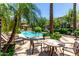 Community pool area surrounded by mature palm trees and lush landscaping, with shade structures and lounge chairs at 5550 N 16Th St # 166, Phoenix, AZ 85016
