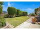 View of a manicured backyard featuring a lush green lawn and mature, shaped trees at 592 W Harvard Ave, Gilbert, AZ 85233