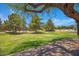 The community park offers wide open green space with walking paths and mature trees at 592 W Harvard Ave, Gilbert, AZ 85233