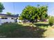Spacious backyard with lush green grass and mature shade tree, ideal for relaxing at 743 W Ocotillo Rd, Phoenix, AZ 85013