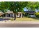 Charming single-story home with well-maintained front yard and mature trees at 743 W Ocotillo Rd, Phoenix, AZ 85013