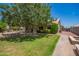 Large backyard featuring a well-maintained lawn, mature trees, and a charming outdoor kitchen area at 1063 W Vaughn St, Tempe, AZ 85283
