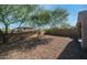 An expansive backyard with desert landscaping and mature trees offers shade and privacy at 1123 W Thunderhill Dr, Phoenix, AZ 85045
