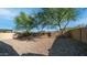 A zero-scaped backyard provides a low-maintenance outdoor space with desert trees and privacy fencing at 1123 W Thunderhill Dr, Phoenix, AZ 85045