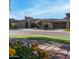 A well-manicured street showcases this desert home's exterior, landscaping, and neighborhood charm at 1123 W Thunderhill Dr, Phoenix, AZ 85045