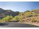 Desert landscape with cacti and native vegetation lining a paved road against the backdrop of a beautiful mountain at 12887 N 135 St, Scottsdale, AZ 85259