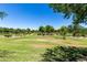 Expansive green park area with mature trees and manicured landscaping, a perfect community space at 3229 E Mountain Village Cir, Phoenix, AZ 85042
