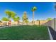 Beautiful backyard featuring lush green grass, mature trees, and desert landscaping at 3532 W Mesquite Ave, San Tan Valley, AZ 85144
