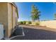 Desert landscaped backyard featuring mature trees and a high block wall at 3532 W Mesquite Ave, San Tan Valley, AZ 85144