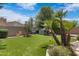 Lush backyard featuring artificial grass, shade trees, and a charming playhouse and trampoline at 4327 E Capricorn Pl, Chandler, AZ 85249