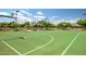 Well-maintained community basketball court with green surface, white lines, and hoops for recreational play at 9255 W Los Gatos Dr, Peoria, AZ 85383