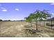 Dirt Lot with trees, fencing, and mountain views in the background at 13050 N Breeze Way, Maricopa, AZ 85139