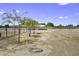 Wide shot showing the tree-lined fenced-in sandy yard and a coiled garden hose at 13050 N Breeze Way, Maricopa, AZ 85139
