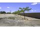 Long, gravel-covered yard with sapling trees in a row near a metal fence at 13050 N Breeze Way, Maricopa, AZ 85139