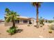 The home features desert landscaping and mature palm trees surrounding the property at 16354 W Labyrinth Ln, Surprise, AZ 85374