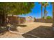 Large backyard featuring desert landscaping and mature trees offers privacy at 17493 N Costa Brava Ave, Maricopa, AZ 85139