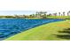 A beautiful lake view with lush green grass on shore and palm trees in the background at 18368 W Long Lake Rd, Goodyear, AZ 85338