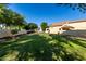 Large backyard with lush grass, mature trees, and a private fence at 1918 E Megan St, Gilbert, AZ 85295