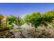 Backyard is adorned with lush trees, providing a serene and private outdoor sanctuary at 3404 E Lavey Ln, Phoenix, AZ 85032