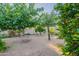 The serene backyard is adorned with trees creating a tranquil and private retreat at 3404 E Lavey Ln, Phoenix, AZ 85032