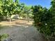 Spacious backyard featuring mature trees and ample space for outdoor activities at 3404 E Lavey Ln, Phoenix, AZ 85032