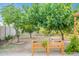 Backyard with planted beds, greenery, and mature trees at 3404 E Lavey Ln, Phoenix, AZ 85032