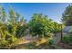 Backyard featuring various trees that enhance the lush landscaping, creating a peaceful retreat at 3404 E Lavey Ln, Phoenix, AZ 85032