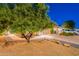 Home exterior with large tree in front yard, long driveway, and two-car garage in a quiet neighborhood at 3404 E Lavey Ln, Phoenix, AZ 85032