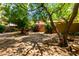 Mature trees and desert landscaping create a private backyard space at 4135 E Altadena Ave, Phoenix, AZ 85028