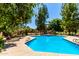 Community swimming pool with lounge chairs and tables for relaxation and enjoyment on a sunny day at 4135 E Altadena Ave, Phoenix, AZ 85028