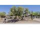 Beautiful home featuring desert landscape, a mature shade tree, and a block fence for added privacy at 6302 E Turquoise Ave, Paradise Valley, AZ 85253