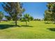Scenic view of a lush green golf course with mature trees under a clear blue sky at 823 N 81St St, Mesa, AZ 85207