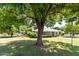 Street view of a home with lush green lawn, mature trees, and manicured bushes at 840 E 2Nd St, Mesa, AZ 85203