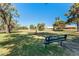 Green community park with mature trees, green grass, and a relaxing bench to enjoy the scenery at 14300 W Bell Rd # 6, Surprise, AZ 85374