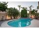 A sparkling pool with manicured landscaping and ambient string lighting enhance the outdoor space at 16238 N 58Th St, Scottsdale, AZ 85254