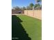 Large backyard featuring artificial lawn, block wall, and string lights at 3064 E Michelle Way, Gilbert, AZ 85234