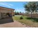 Inviting backyard with a covered patio, lush lawn, mature tree and a sparkling swimming pool at 3227 W Kristal Way, Phoenix, AZ 85027