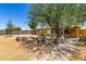 The backyard showcases a quaint seating area, a fire pit, and mature shade trees, offering a relaxing retreat at 3842 W Ocotillo Rd, Phoenix, AZ 85019