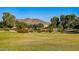 Expansive green space with lush landscaping and picturesque mountain views in the background at 4093 E Westchester Dr, Chandler, AZ 85249