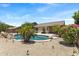Backyard pool surrounded by desert landscaping and palm trees, perfect for outdoor entertaining at 4093 E Westchester Dr, Chandler, AZ 85249