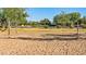 Sandy community volleyball court, surrounded by shade trees and green lawns at 4093 E Westchester Dr, Chandler, AZ 85249