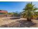 A spacious backyard featuring a trampoline and palm tree at 7310 N 68Th Ln, Glendale, AZ 85303