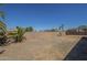 View of the backyard with a block wall, palm trees, and sparse vegetation at 742 S Rose --, Mesa, AZ 85204