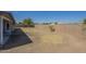 Open backyard featuring a block wall for privacy and scattered foliage at 742 S Rose --, Mesa, AZ 85204