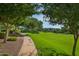 Walking path leads through a lush, green common area with mature trees and landscaping at 8964 W Northview Ave, Glendale, AZ 85305