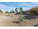 Lush backyard featuring colorful shrubbery, a fountain, and a covered gazebo at 909 E Harwell Rd, Phoenix, AZ 85042