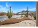 Neighborhood street with desert landscaping, mountain views, and well-maintained homes at 10214 E Moonshadow Way, Gold Canyon, AZ 85118
